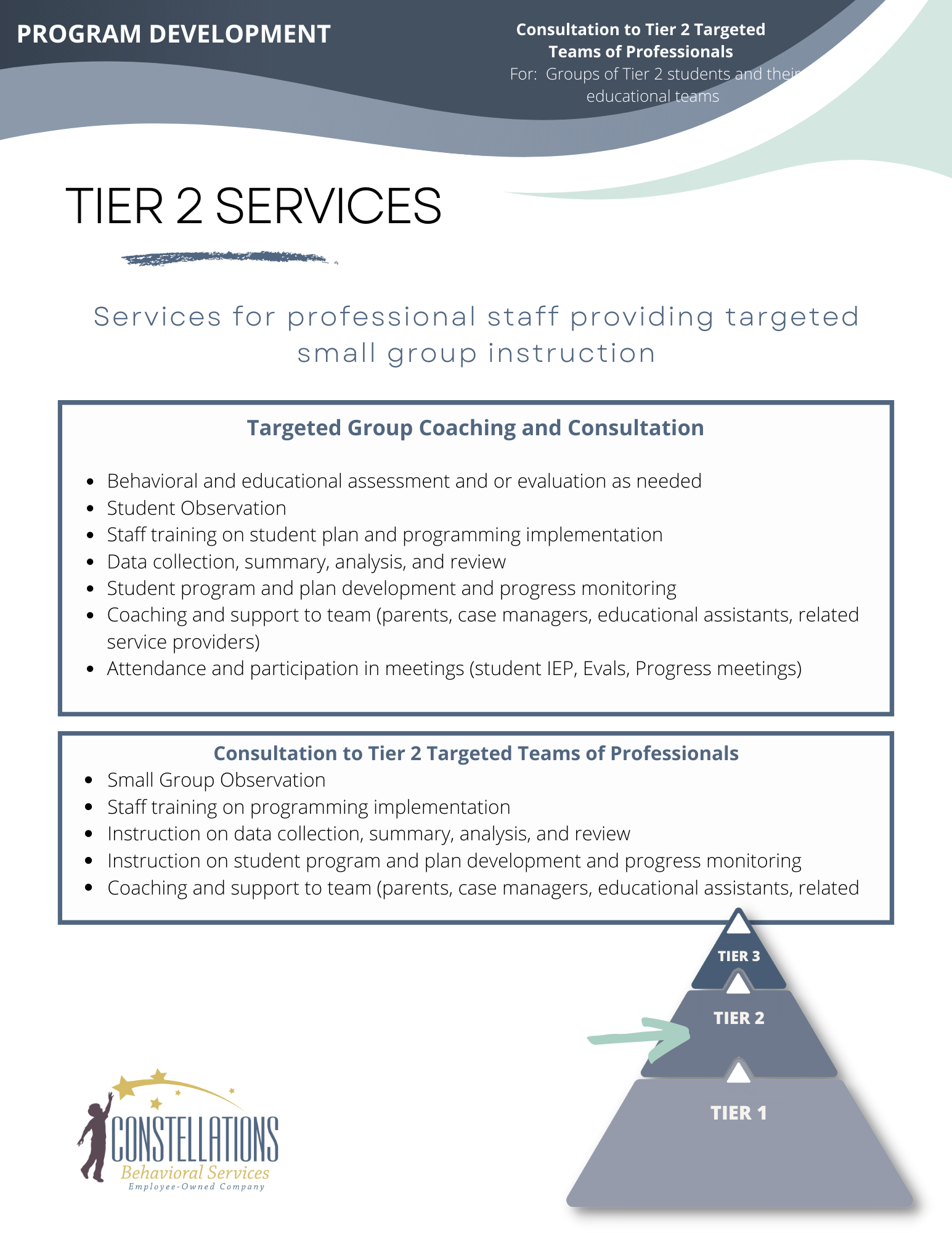 Tier 2 Services